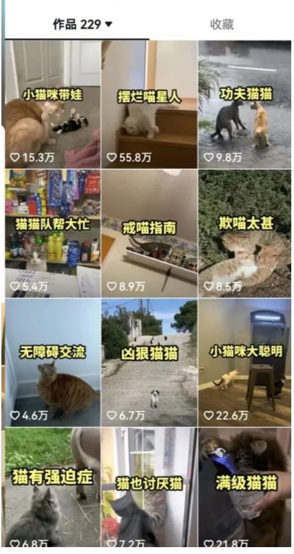 拆解：抖音盘点类中视频变现副业项目，视频版一条龙大解析分享给你-最全项目网