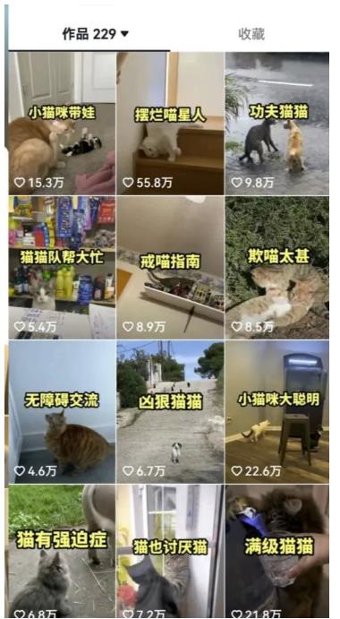 拆解抖音盘点类中视频变现副业项目，视频版一条龙大解析分享给你【视频课程】-最全项目网