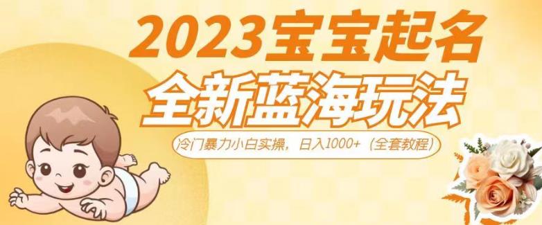 2023宝宝起名全新蓝海玩法，冷门暴力小白实操，日入1000+（全套教程）【揭秘】-最全项目网