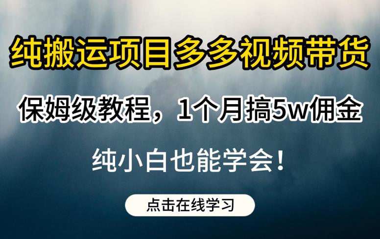 纯搬运项目多多视频带货保姆级教程，1个月搞5w佣金，纯小白也能学会【揭秘】-最全项目网