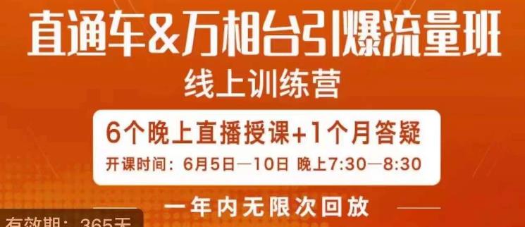 直通车&万相台引爆流量班，6天打通你开直通车·万相台的任督二脉-最全项目网
