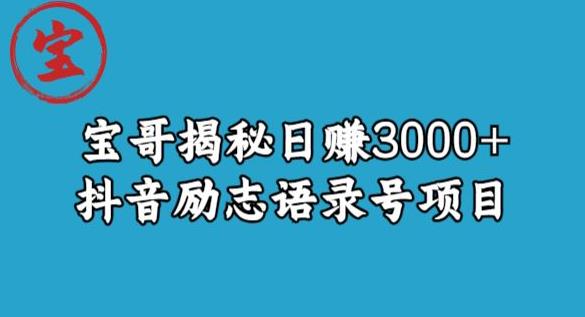 宝哥揭秘日赚3000+抖音励志语录号短视频变现项目-最全项目网