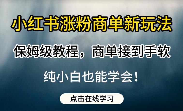 小红书涨粉商单新玩法，保姆级教程，商单接到手软，纯小白也能学会【揭秘】-最全项目网