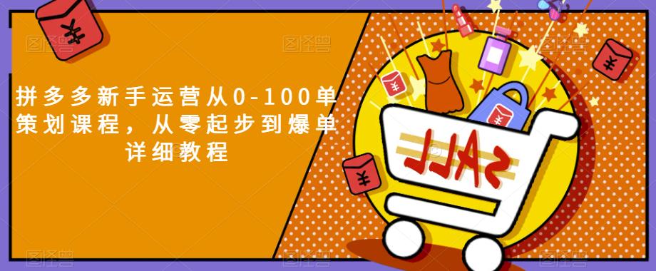 拼多多新手运营从0-100单策划课程，从零起步到爆单详细教程-最全项目网