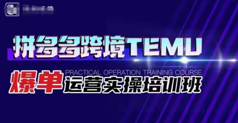 拼多多跨境TEMU爆单运营实操培训班，海外拼多多的选品、运营、爆单-最全项目网