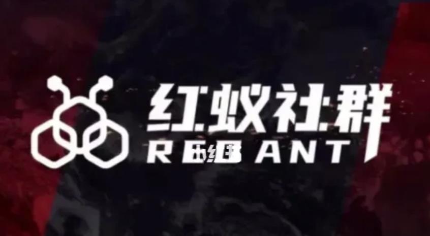 社群运营：红蚁社群【48节落地系统课程+2000人高端社群】-最全项目网