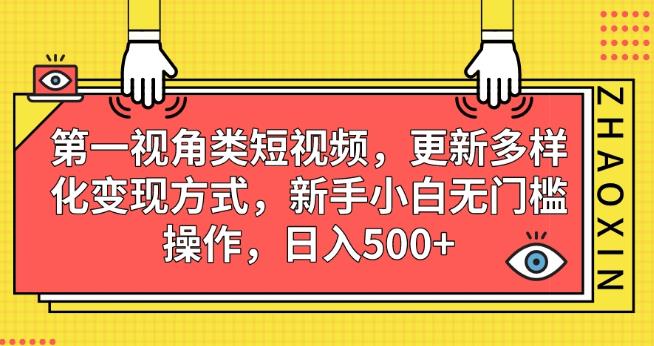 第一视角类短视频，更新多样化变现方式，新手小白无门槛操作，日入500+【揭秘】-最全项目网