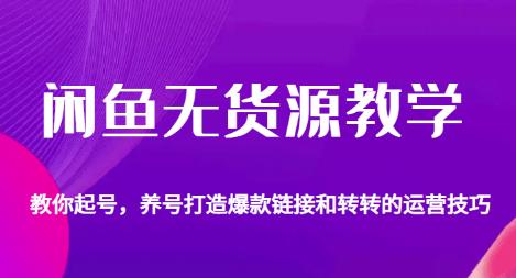 闲鱼无货源教学，教你起号，养号打造爆款链接以及转转的运营技巧-最全项目网