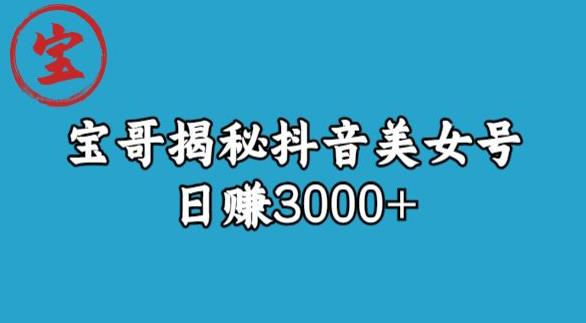 宝哥揭秘抖音美女号玩法，日赚3000+【揭秘】-最全项目网