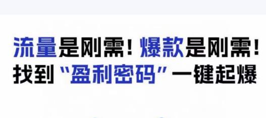 电商盈利精品课：6大盈利密码让产品更好卖，流量是刚需！爆款是刚需！找到”盈利密码”一键起爆-最全项目网