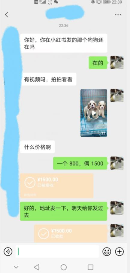 外边收费3980的同城萌宠项目，用最冷门的玩法冲击最热门的市场【揭秘】-最全项目网