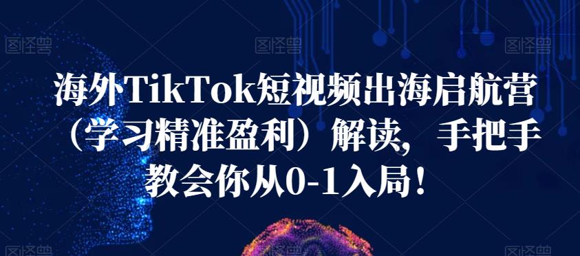 海外TikTok短视频出海启航营（学习精准盈利）解读，手把手教会你从0-1入局！-最全项目网