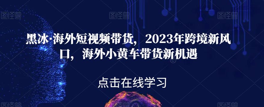 黑冰·海外短视频带货，2023年跨境新风口，海外小黄车带货新机遇-最全项目网