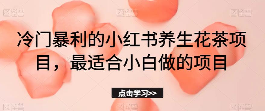冷门暴利的小红书养生花茶项目，最适合小白做的项目【揭秘】-最全项目网