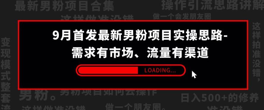 9月首发最新男粉项目实操思路-需求有市场，流量有渠道【揭秘】-最全项目网