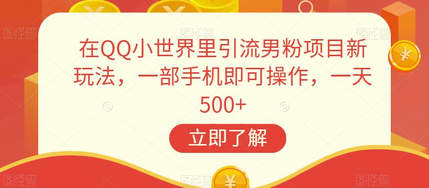 在QQ小世界里引流男粉项目新玩法，一部手机即可操作，一天500+【揭秘】-最全项目网