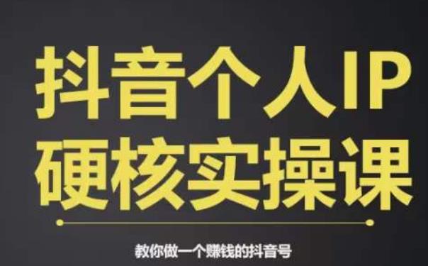 个人IP创富系统实战课，商业定位，流量打造，短视频变现，教你做个赚钱的抖音号-最全项目网
