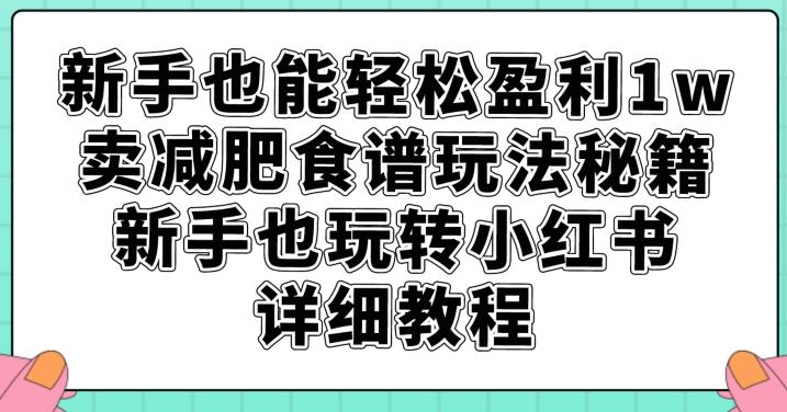 新手也能轻松盈利1w，卖减肥食谱玩法秘籍，新手也玩转小红书详细教程【揭秘】-最全项目网