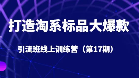 打造淘系标品大爆款引流班线上训练营（第17期）5天直播授课-最全项目网