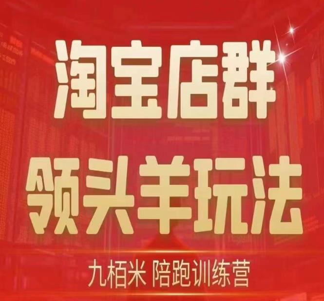 九栢米-淘宝店群领头羊玩法，教你整个淘宝店群领头羊玩法以及精细化/终极蓝海/尾销等内容-最全项目网