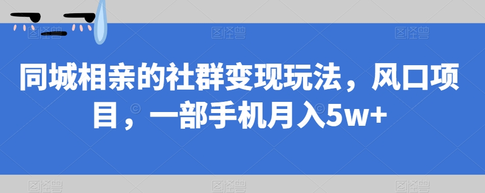同城相亲的社群变现玩法，风口项目，一部手机月入5w+【揭秘】-最全项目网
