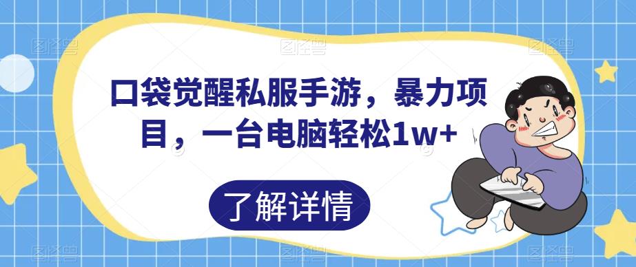 口袋觉醒私服手游，暴力项目，一台电脑轻松1w+【揭秘】-最全项目网