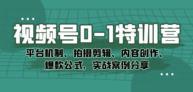 视频号0-1特训营：平台机制、拍摄剪辑、内容创作、爆款公式，实战案例分享-最全项目网