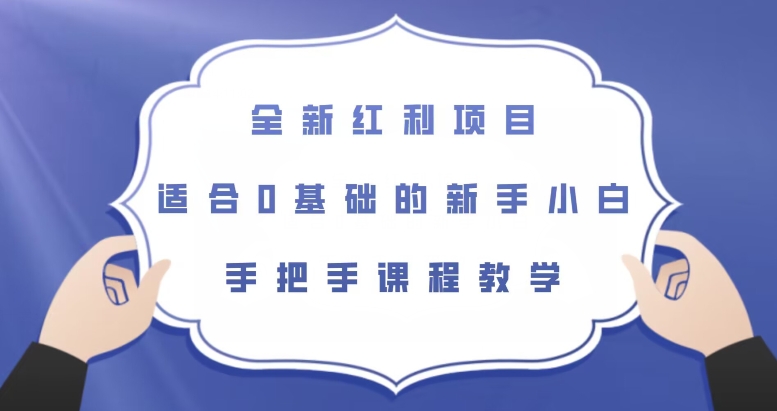 全新红利项目，适合0基础的新手小白，手把手课程教学【揭秘】-最全项目网