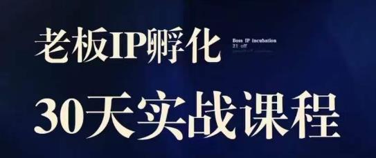 诸葛·2023老板IP实战课，实体同城引流获客，IP孵化必听-最全项目网