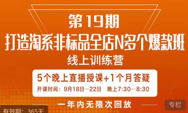 打造淘系非标全店N多个爆款线上课，​5天直播课-最全项目网