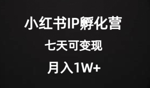 价值2000+的小红书IP孵化营项目，超级大蓝海，七天即可开始变现，稳定月入1W+-最全项目网