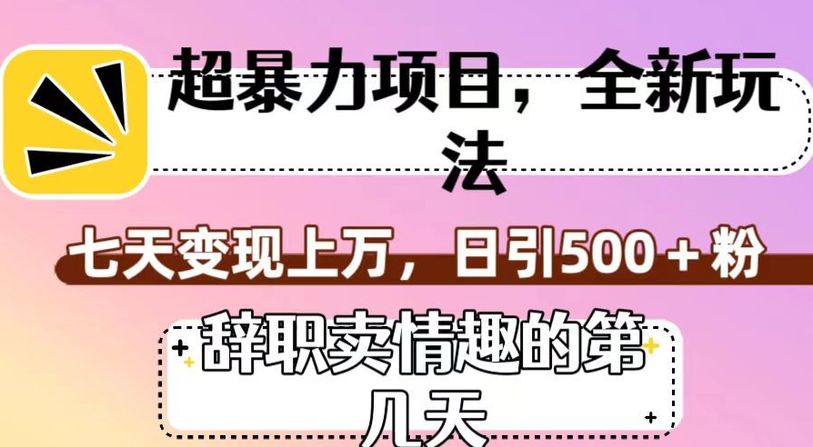 超暴利项目，全新玩法（辞职卖情趣的第几天），七天变现上万，日引500+粉【揭秘】-最全项目网