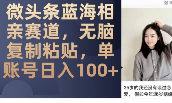 微头条蓝海相亲赛道，无脑复制粘贴，单账号日入100+-最全项目网