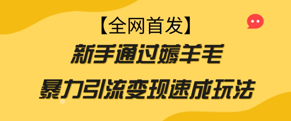 【全网首发】新手通过薅羊毛暴力引流变现速成玩法-最全项目网