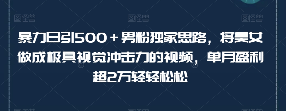暴力日引500＋男粉独家思路，将美女做成极具视觉冲击力的视频，单月盈利超2万轻轻松松-最全项目网