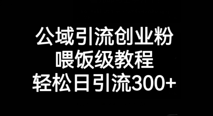 公域引流创业粉，喂饭级教程，轻松日引流300+【揭秘】-最全项目网