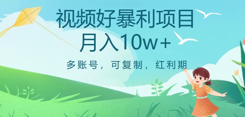 视频号暴利项目，多账号，可复制，红利期，月入10w+【揭秘】-最全项目网