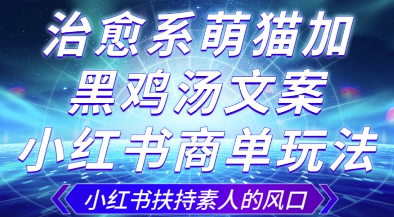 治愈系萌猫加+黑鸡汤文案，小红书商单玩法，3~10天涨到1000粉，一单200左右-最全项目网