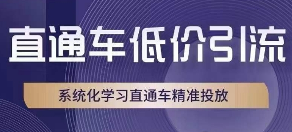 直通车低价引流课，系统化学习直通车精准投放-最全项目网
