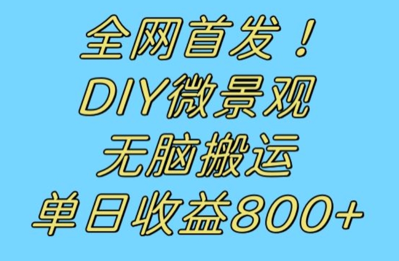 全网首发冷门赛道！DIY微景观，无脑搬运视频，日收益800+【揭秘】-最全项目网