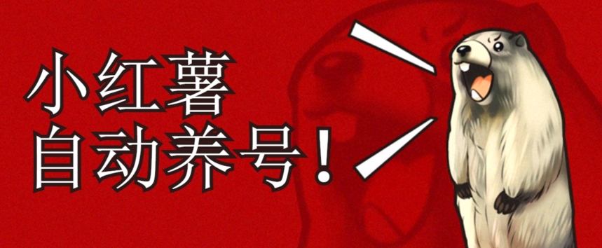 小红书养号秘籍，如何自动涨粉清晰系统标签打造高权重账号【揭秘】-最全项目网
