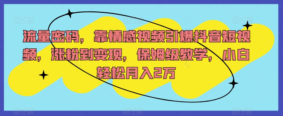 流量密码，靠情感视频引爆抖音短视频，涨粉到变现，保姆级教学，小白轻松月入2万【揭秘】-最全项目网