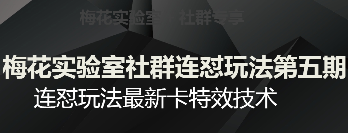梅花实验室社群连怼玩法第五期，视频号连怼玩法最新卡特效技术-最全项目网
