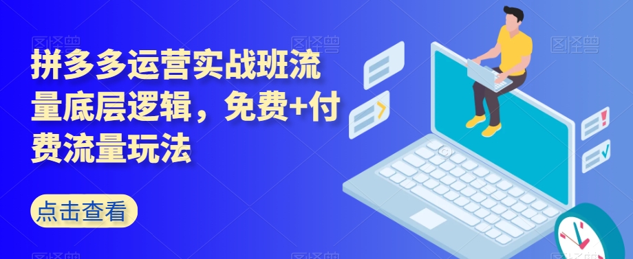 拼多多运营实战班流量底层逻辑，免费+付费流量玩法-最全项目网