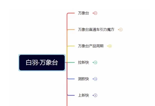 白羽·直引万搜索全篇，从0-1，多个类目实操经验总结付费-最全项目网