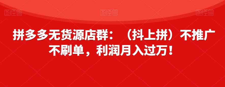 拼多多无货源店群：（抖上拼）不推广不刷单，利润月入过万！【揭秘】-最全项目网
