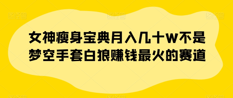 女神瘦身宝典月入几十W不是梦空手套白狼赚钱最火的赛道【揭秘】-最全项目网