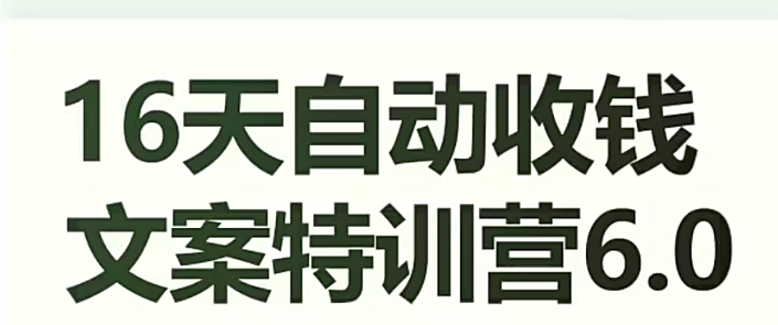 16天自动收钱文案特训营6.0，学会儿每天自动咔咔收钱-最全项目网