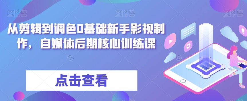 从剪辑到调色0基础新手影视制作，自媒体后期核心训练课-最全项目网