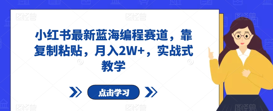 小红书最新蓝海编程赛道，靠复制粘贴，月入2W+，实战式教学【揭秘】-最全项目网